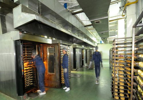 廣東月餅批發(fā)揭秘 品佳品,你的低價源頭工廠