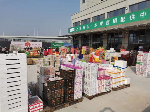 海吉星農(nóng)產(chǎn)品物流園開業(yè)運營 安慶人的 菜籃子 拎得更穩(wěn)了